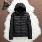 AURORA WINDPROOF JACKET
